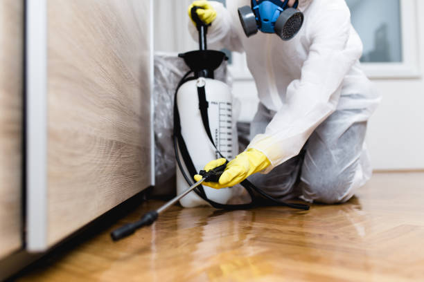 Best Wasp Removal Services  in New Carlisle, IN