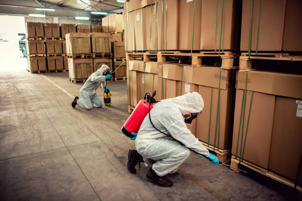 Best Flea Control Services  in New Carlisle, IN