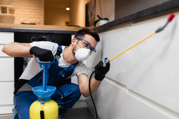 Best Emergency Pest Control  in New Carlisle, IN