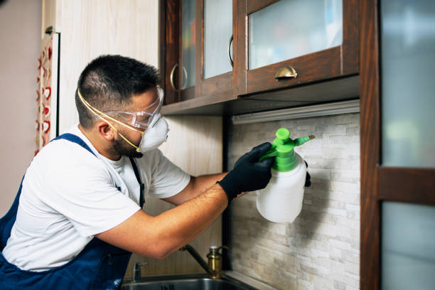 Best Best Pest Control Companies  in New Carlisle, IN