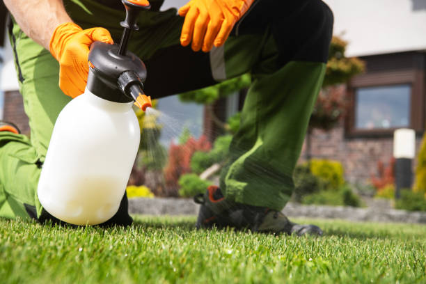 Best Residential Pest Control  in New Carlisle, IN