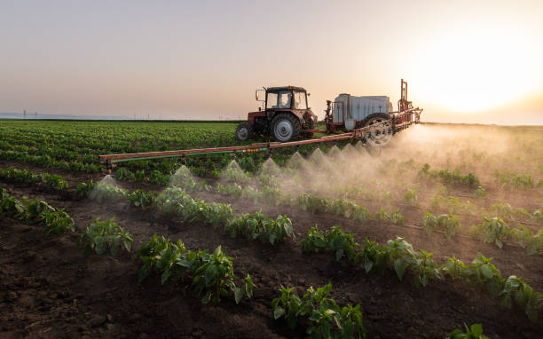 Best Pest Control Treatment  in New Carlisle, IN