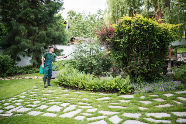 Best Ant Control Services  in New Carlisle, IN