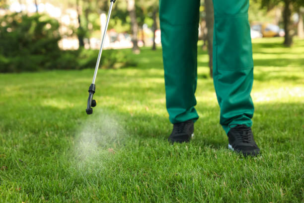 Best Best Pest Control Companies  in New Carlisle, IN