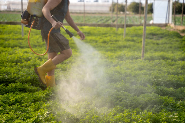 Best Pest Prevention Services  in New Carlisle, IN