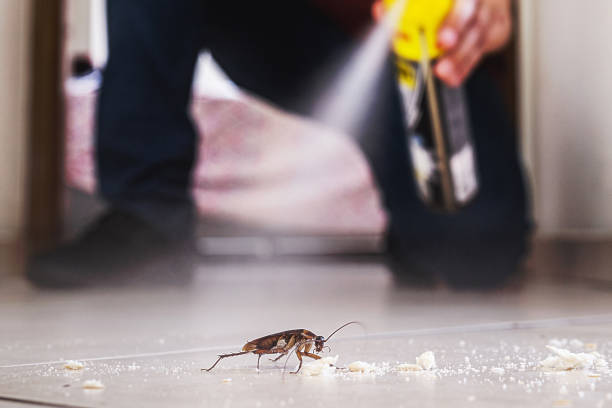 Best Local Pest Control Services  in New Carlisle, IN