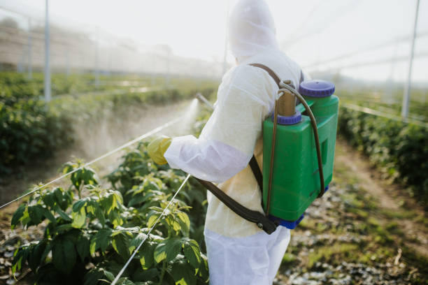 Best Mosquito Control Services  in New Carlisle, IN